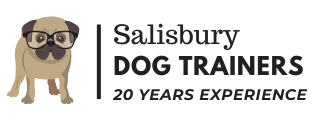 Salisbury Dog Trainers